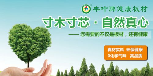 十大板材品牌丰叶品质:寸木寸芯 自然真心