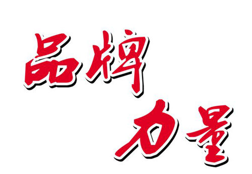 企业影响力越大 烟机品牌资产价值越大