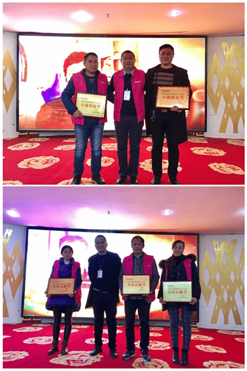 2017雅丽诗厨电南阳区域年终答谢会火热召开