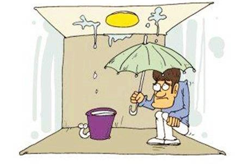 共贺新年-青龙爆推30年防水保证期系统