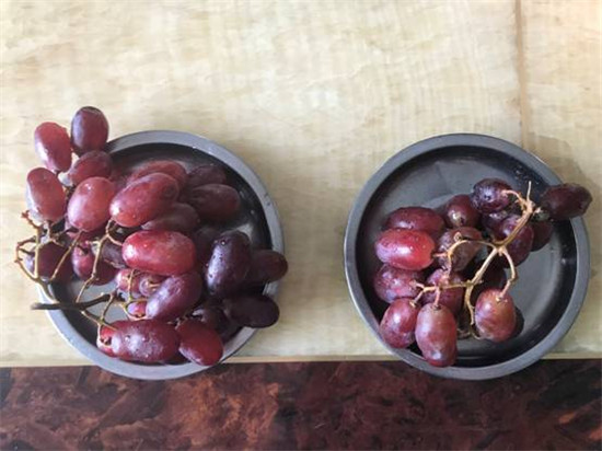 美的洗碗机F2:小规格 大能耐 轻松厨房家务