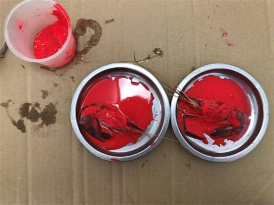 美的洗碗机F2:小规格 大能耐 轻松厨房家务