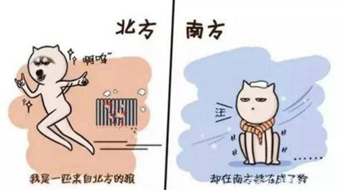 改善南方湿冷,空气能全屋供暖将成未来趋势