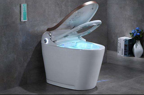 智能马桶日本普及率已超80% 而中国仅占5%