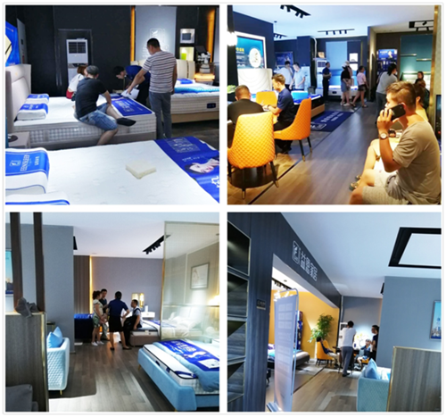 战绩斐然 益恩家居参加2019顺德“龙家展”