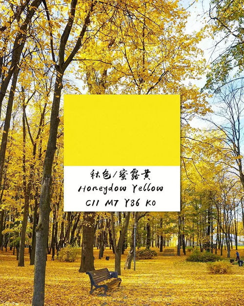 慕木家居带你 邂逅最美的秋天家居配色