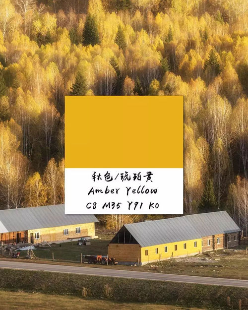 慕木家居带你 邂逅最美的秋天家居配色