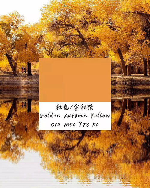 慕木家居带你 邂逅最美的秋天家居配色