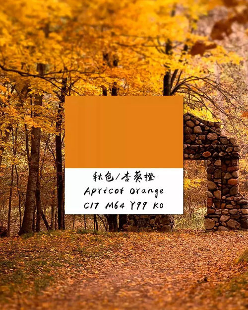 慕木家居带你 邂逅最美的秋天家居配色