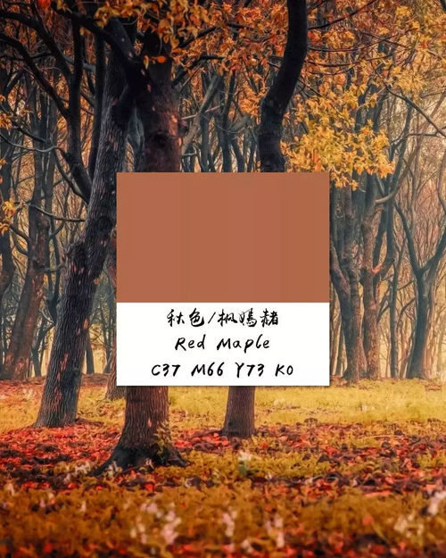 慕木家居带你 邂逅最美的秋天家居配色