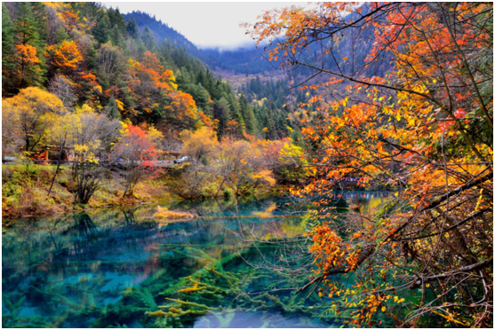 德美联创全铝家居:旅行万里 亦能遇见你