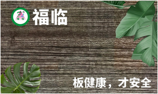 福临板材:专注健康绿色家装,造就生活不凡品味