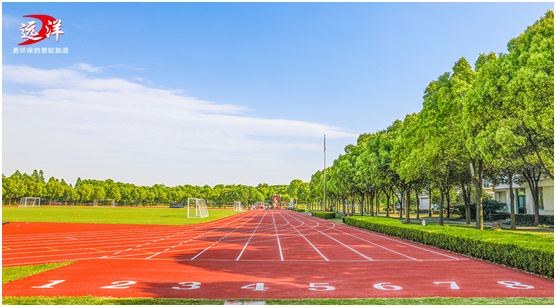 开年新秀 远洋体育蝉联“中国十大品牌”称号
