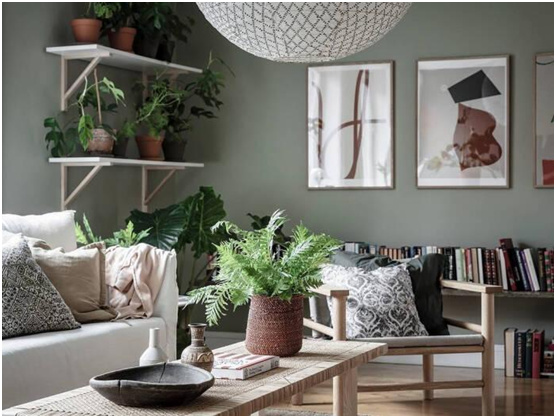 迎新年焕新貌 泰诗尔肌理壁膜让家更靓丽