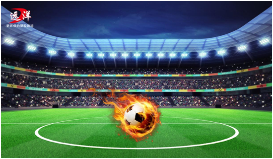 透过欧洲杯看足球,透过远洋体育看运动场地