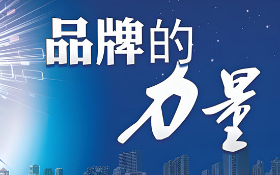 品牌力量:塑造经济新生态的驱动力!