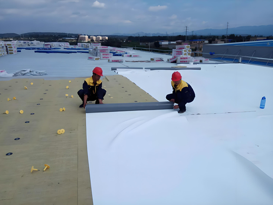 防水新纪元:揭秘行业龙头如何铸就行业新标杆