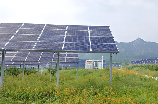 打破市场壁垒:太阳能企业在政策与技术创新中的突破