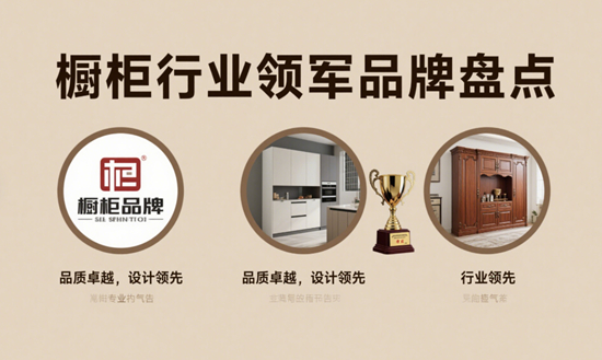 橱柜行业领军品牌盘点:口碑与实力并存